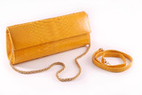Mel Boteri MTO Sunglow Yellow Python Leather &#39;Aarti&#39; Cocktail Clutch (GOLD HARDWARE)